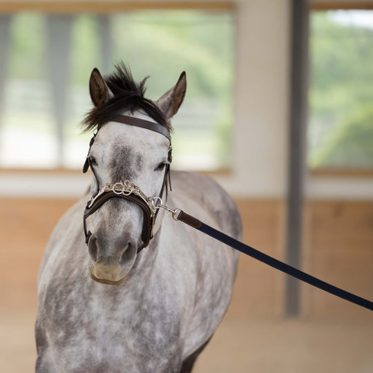 Equinavia Saga 25 Feet Lunge Line image 