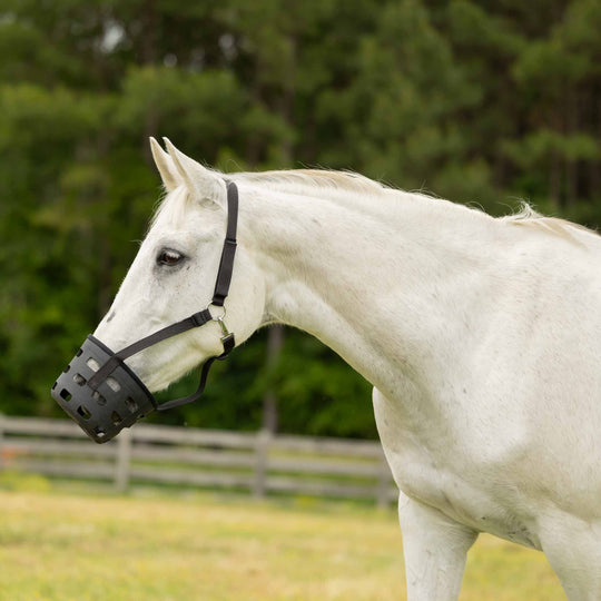 Equinavia Breakaway Grazing Muzzle image 