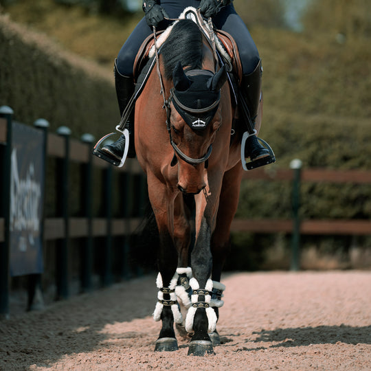 Veredus Carbon Gel Absolute Save the Sheep Rear Fetlock Boots image 
