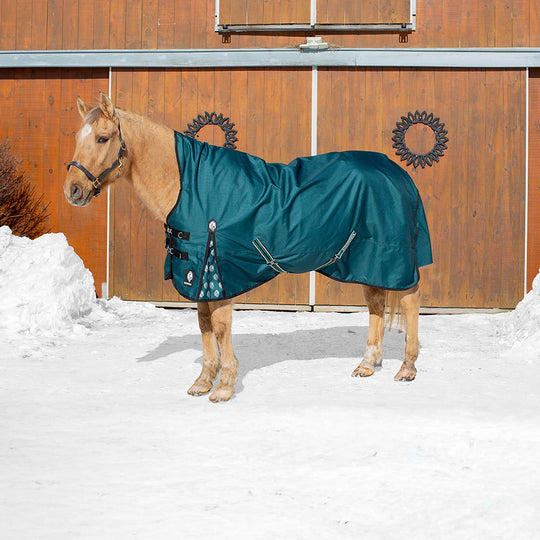 Equinavia Arktis Extended Neck Mid Weight Turnout Blanket 200g image 