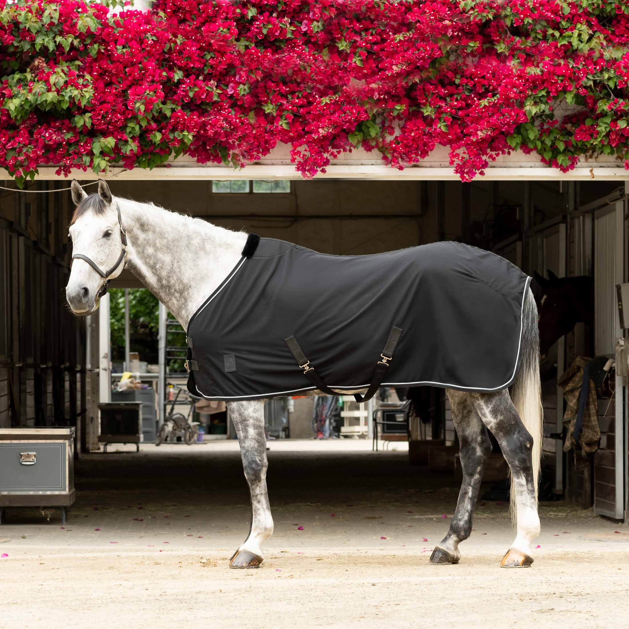 Equinavia Vind Stable Sheet image #1