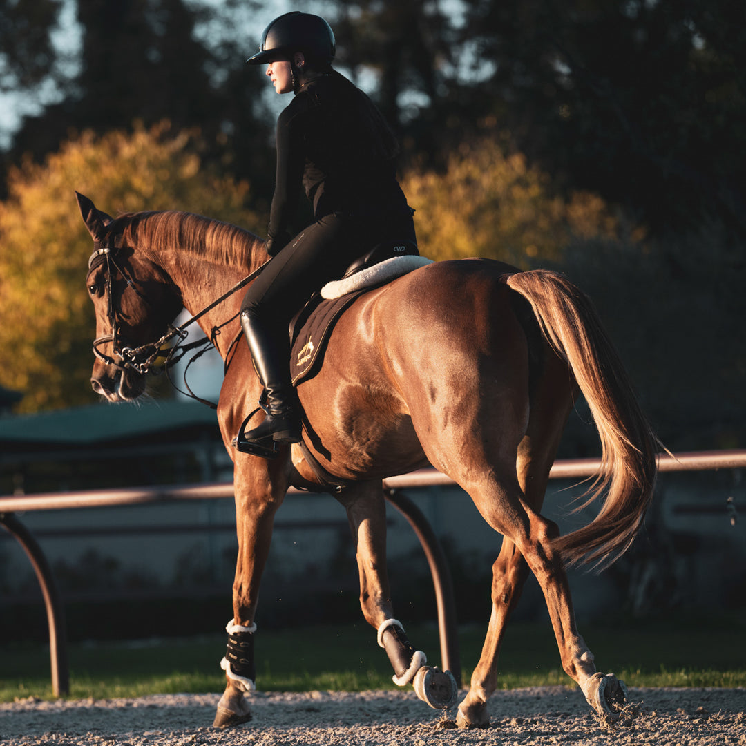 Veredus TRB Save the Sheep Front Turnout Boots image 