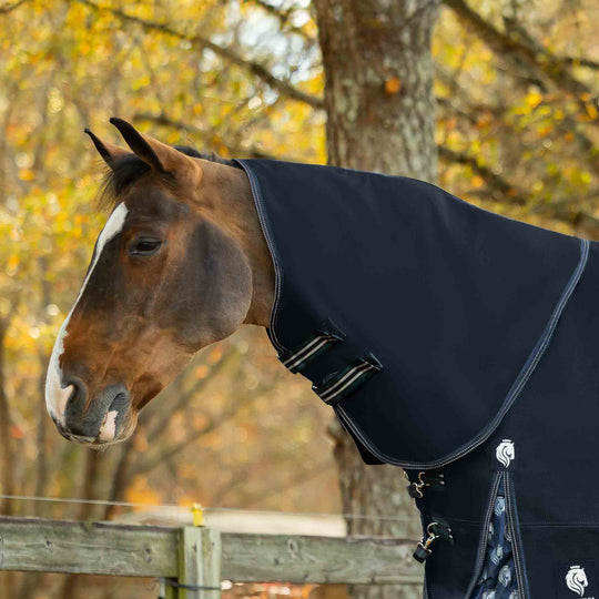 Equinavia Thunder 360 Detachable Neck Heavy Weight Turnout Blanket 300g image 