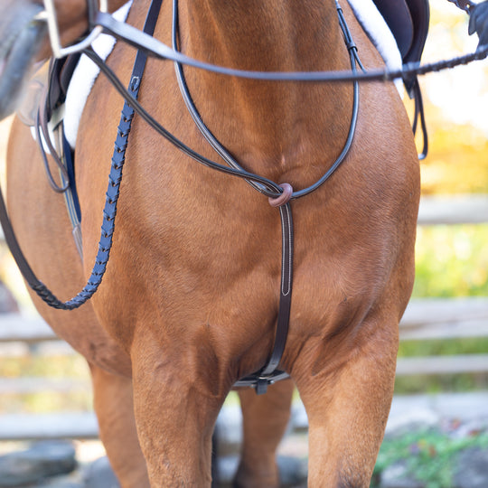 Equinavia Saga Standing Martingale image 
