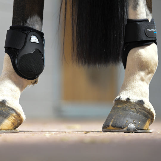 Veredus Young Jump Vento Rear Fetlock Boots image 