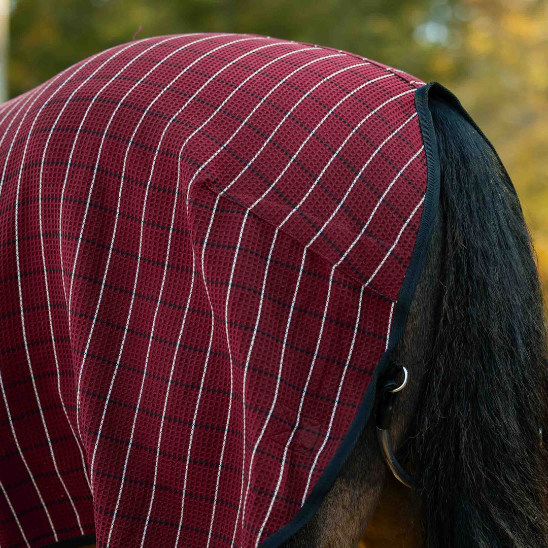 Equinavia Luftig Waffle Cooler image 
