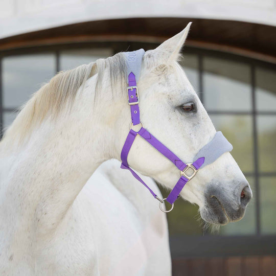 Equinavia Saga Fleece Padded Breakaway Halter image 