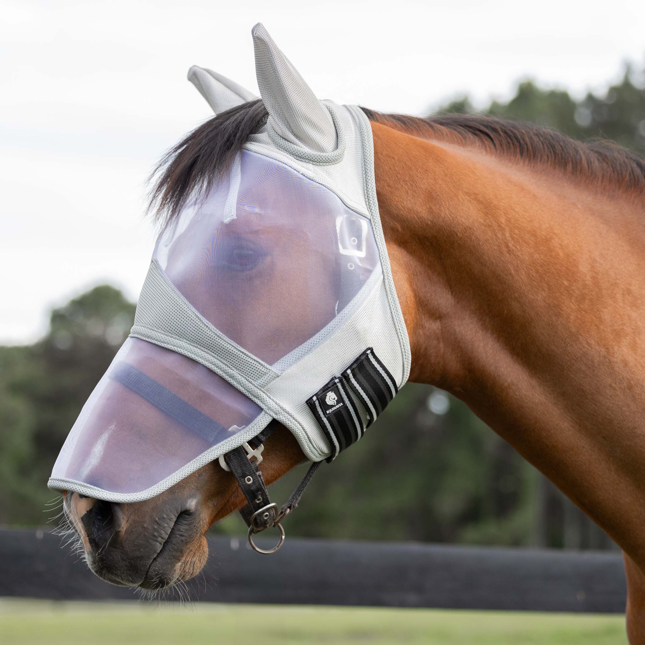 Equinavia Algard Soft Mesh Long Nose Fly Mask image #1