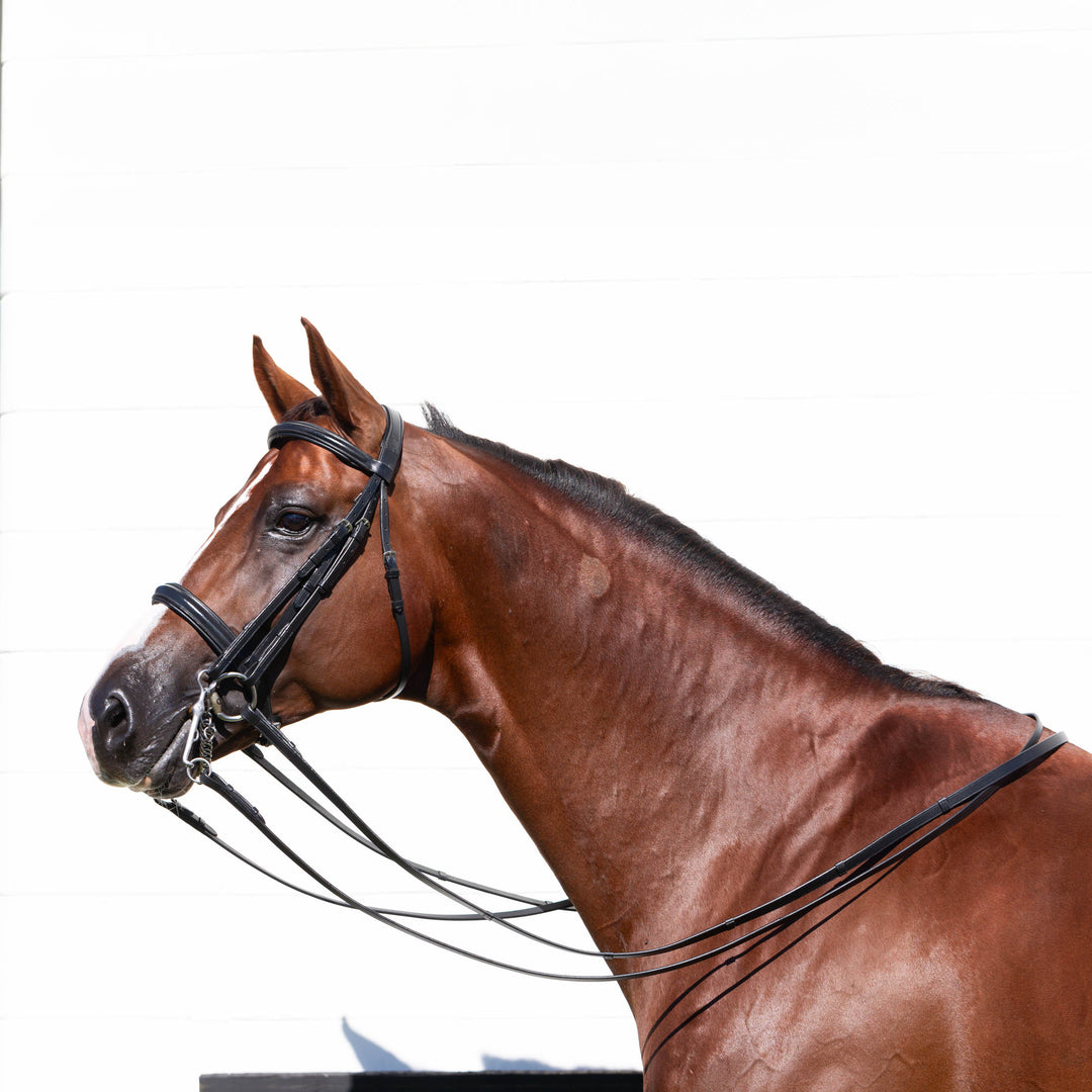 Equinavia Saga Double Bridle w/ Reins image 