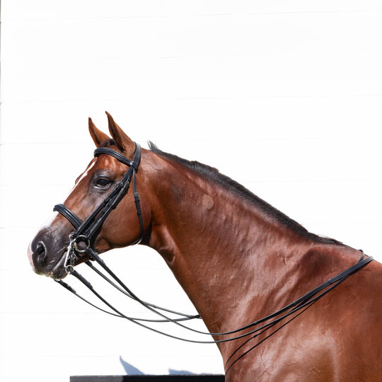 Equinavia Saga Double Bridle w/ Reins image 