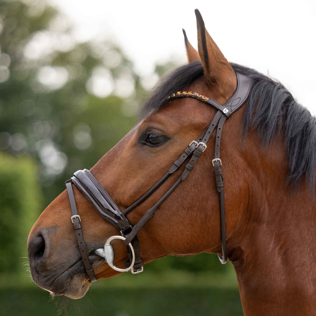 Horze Clermont Ergonomic Crystal Bridle image 