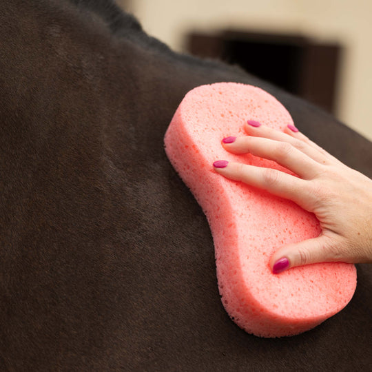 Horze Large Grooming Sponge image 
