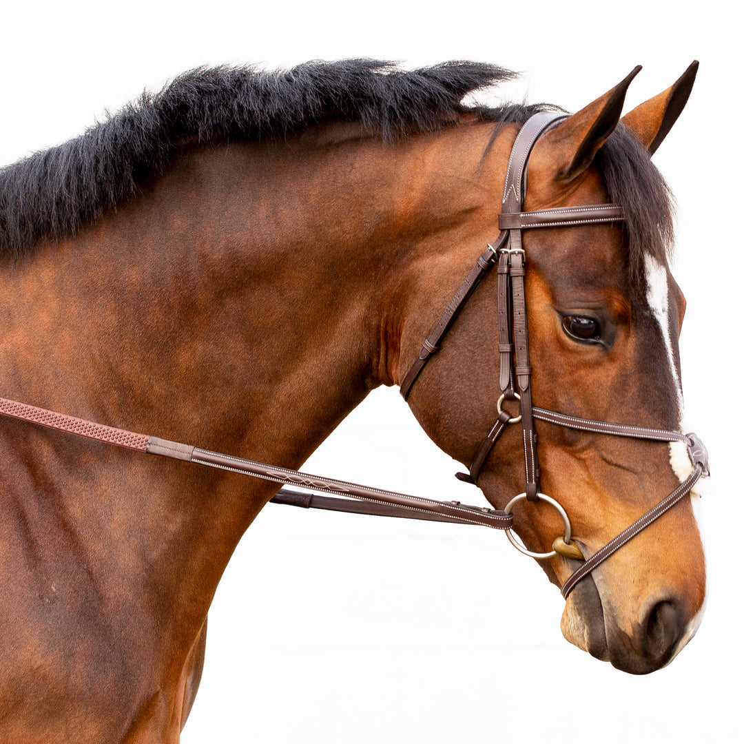 Equinavia Valkyrie Fancy Stitched Figure 8 Bridle &amp; Reins image 
