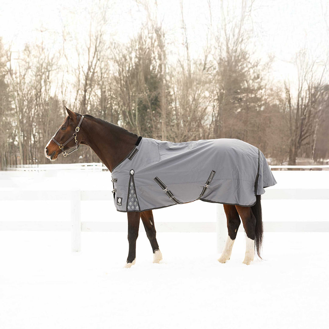 Equinavia Arktis Regular Neck Heavy Weight Turnout Blanket 300g image #1