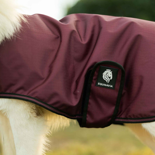 Equinavia Norse Dog Turnout Sheet image 