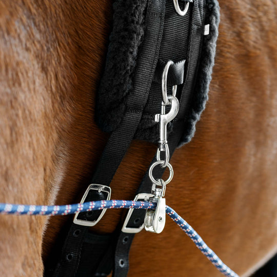 Horze Lunging Aid image 