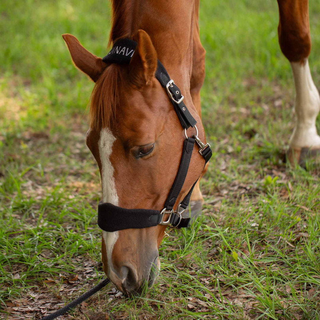 Equinavia Saga Fleece Padded Breakaway Halter image 