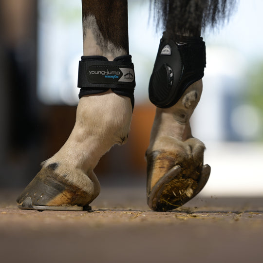 Veredus Young Jump Vento Rear Fetlock Boots image 