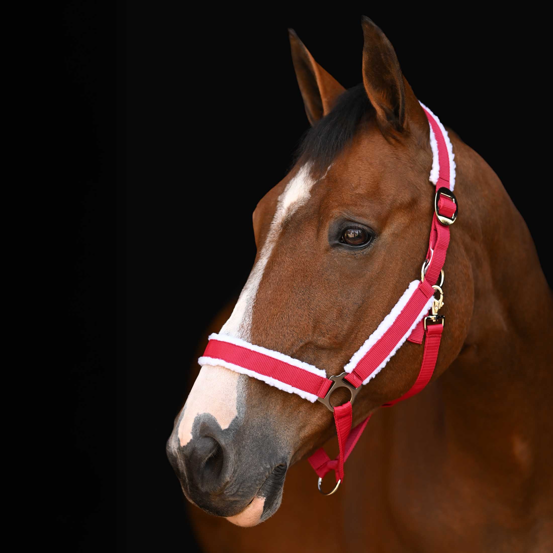 Horze Santa Halter image #1