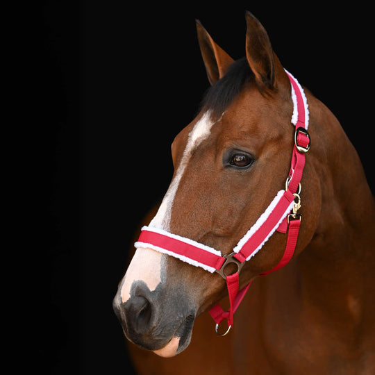 Horze Santa Halter image 
