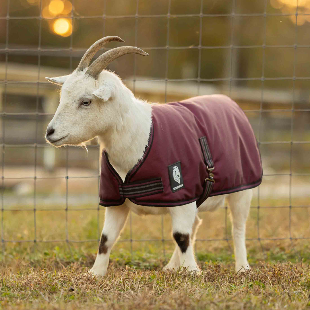 Equinavia Norse Waterproof Goat Coat 200g image 