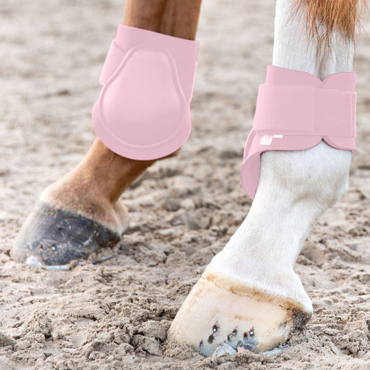 Horze Chicago Fetlock Hind Horse Boots image 