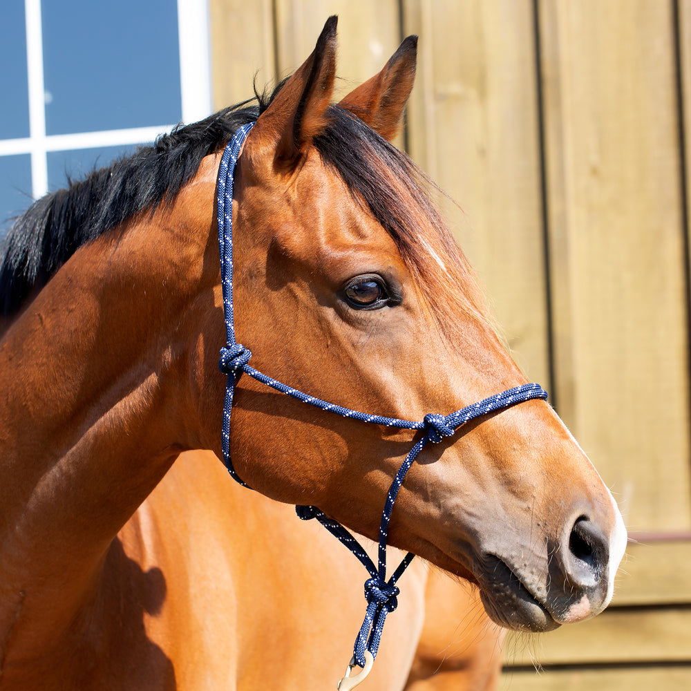 Equinavia Rope Halter image #2