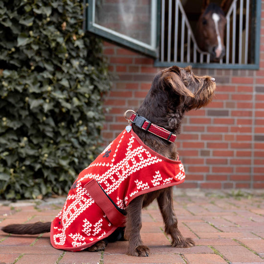 Horze Santa Dog Fleece Coat image 