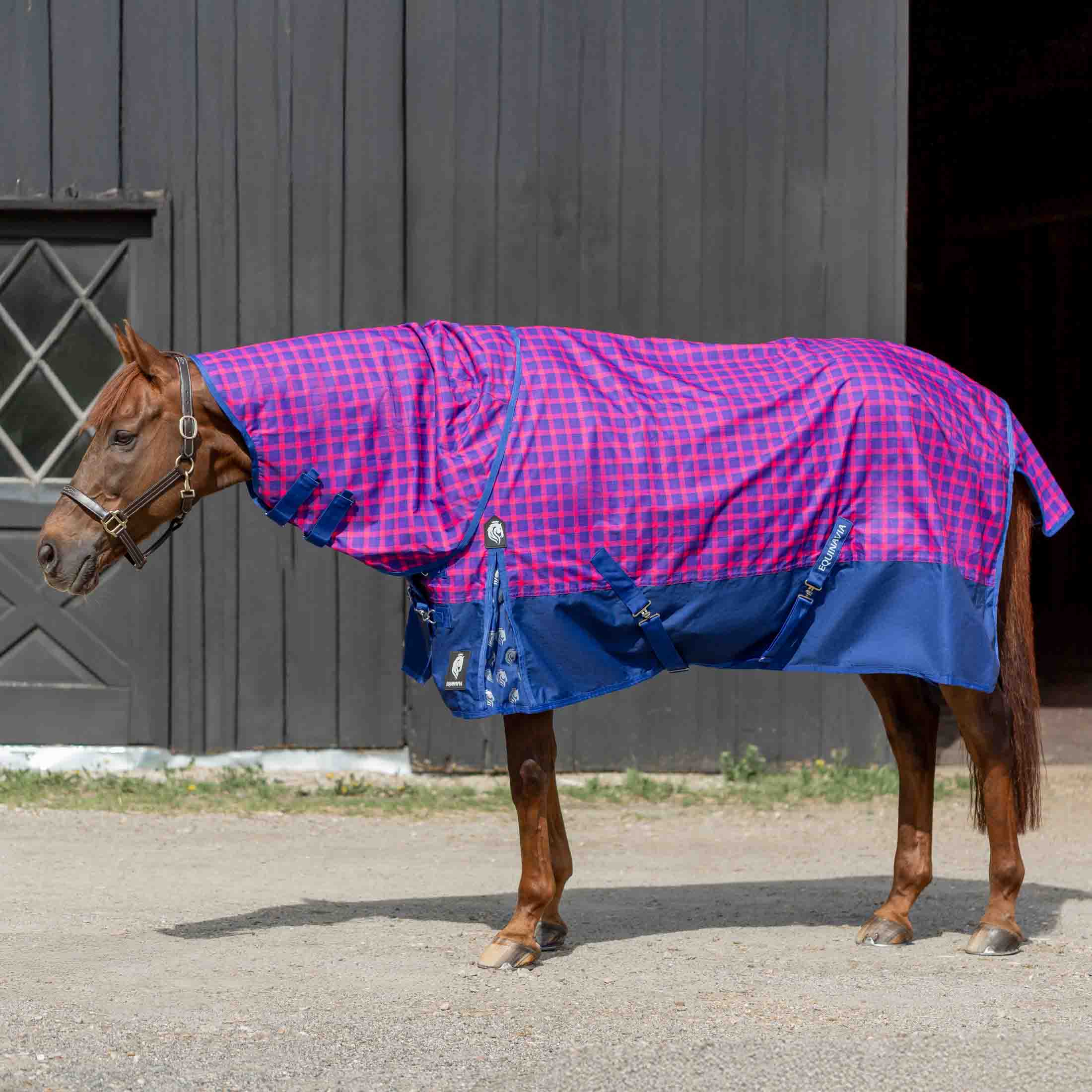 Equinavia Norse Light Weight Turnout Blanket 100g image #2