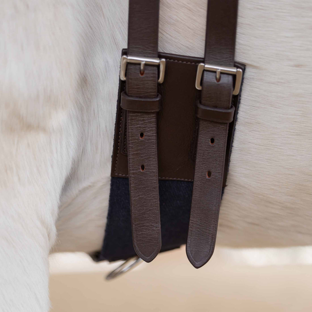 Equinavia Saga Lunge Surcingle image 