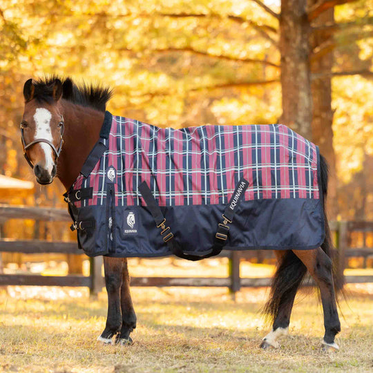 Equinavia Norse Pony Turnout Blanket 300g image 