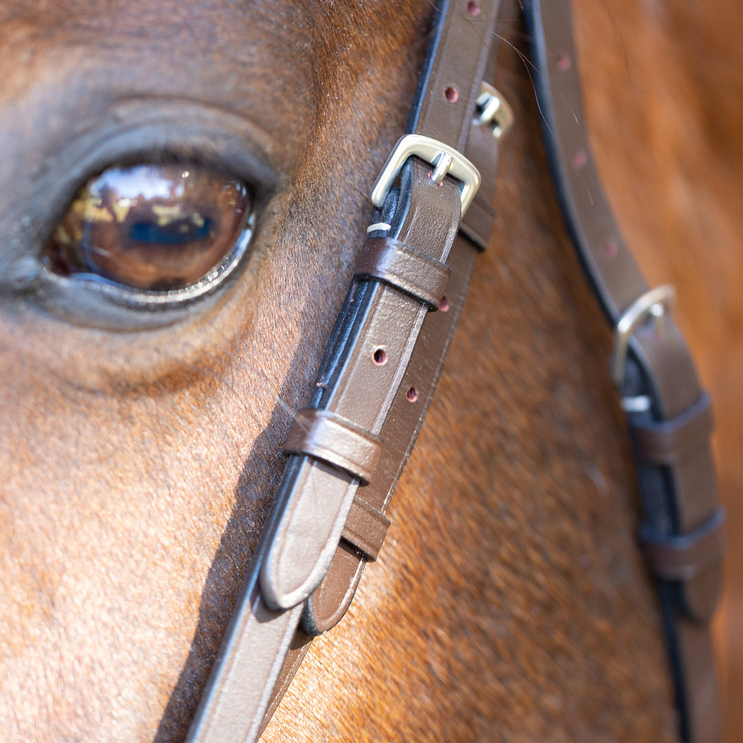 Equinavia Saga Wide Noseband Hunter Bridle with Reins image 
