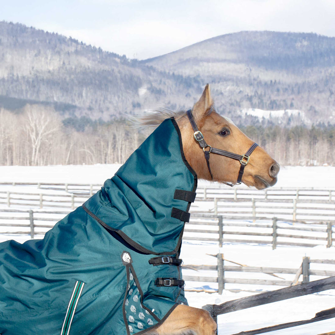 Equinavia Arktis Turnout Neck Cover 200g image 