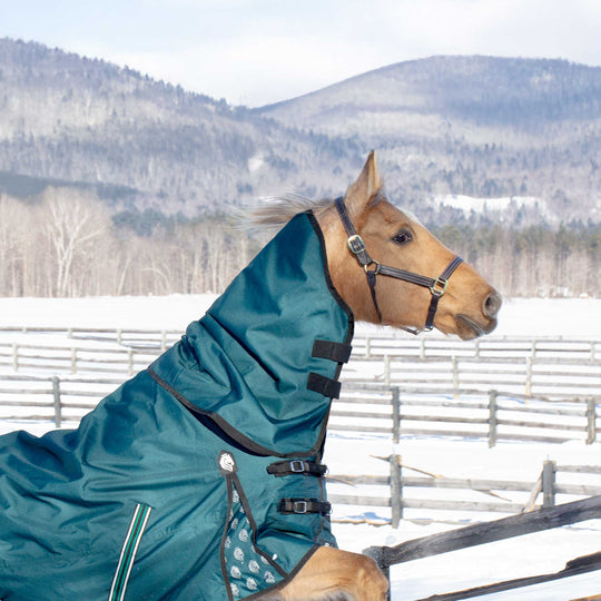 Equinavia Arktis Turnout Neck Cover 200g image 
