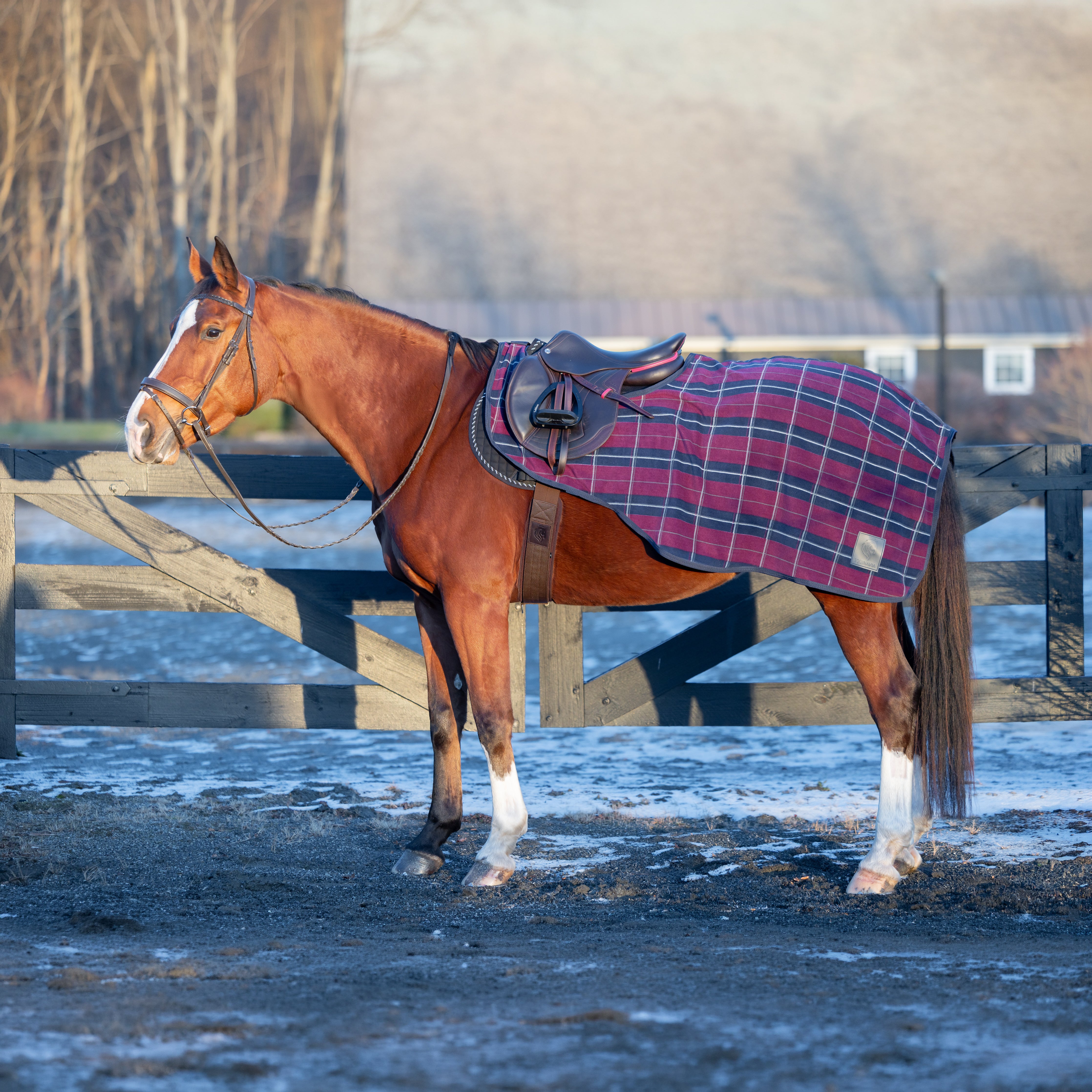 Equinavia Norse Fleece Quarter Sheet image #1