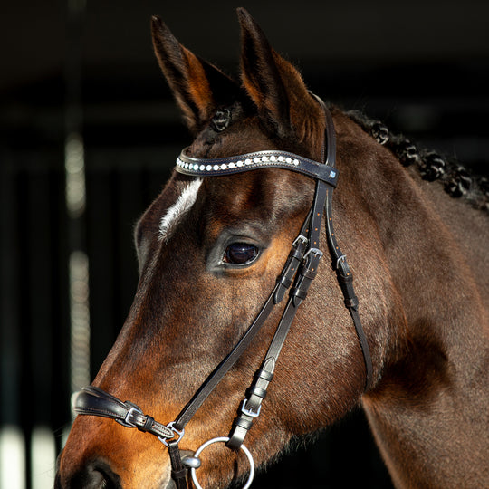 Horze Bergen Leather Remont Bridle image 