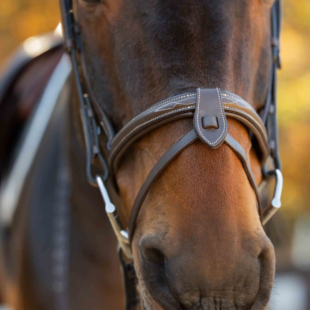 Equinavia Saga Fancy Stitch Detachable Flash Noseband image 
