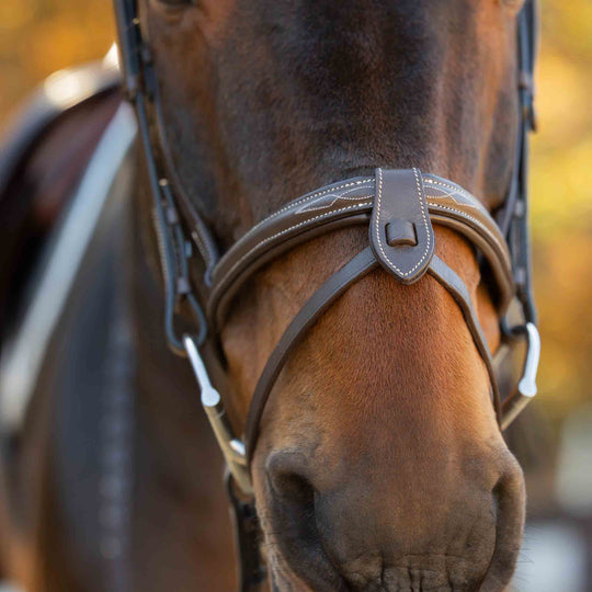 Equinavia Saga Fancy Stitch Detachable Flash Noseband image 