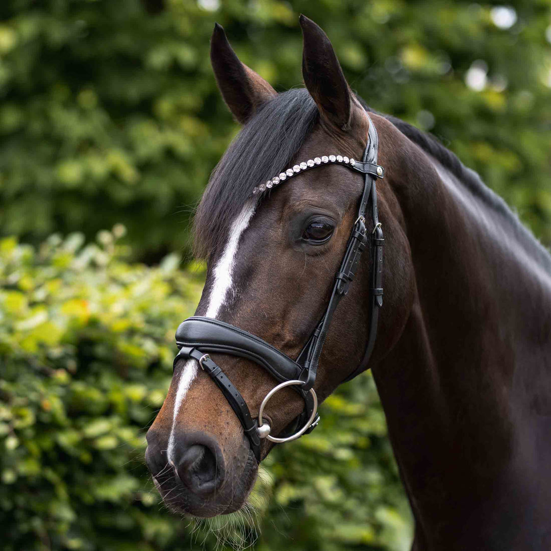 Horze Somerset Fancy Show Bridle image 