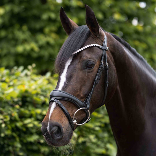 Horze Somerset Fancy Show Bridle image 