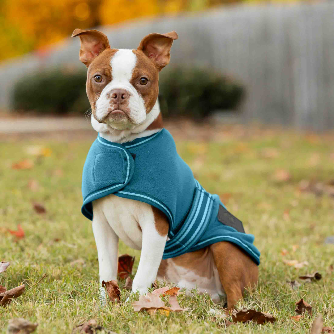 Equinavia Norse Fleece Dog Coat image 