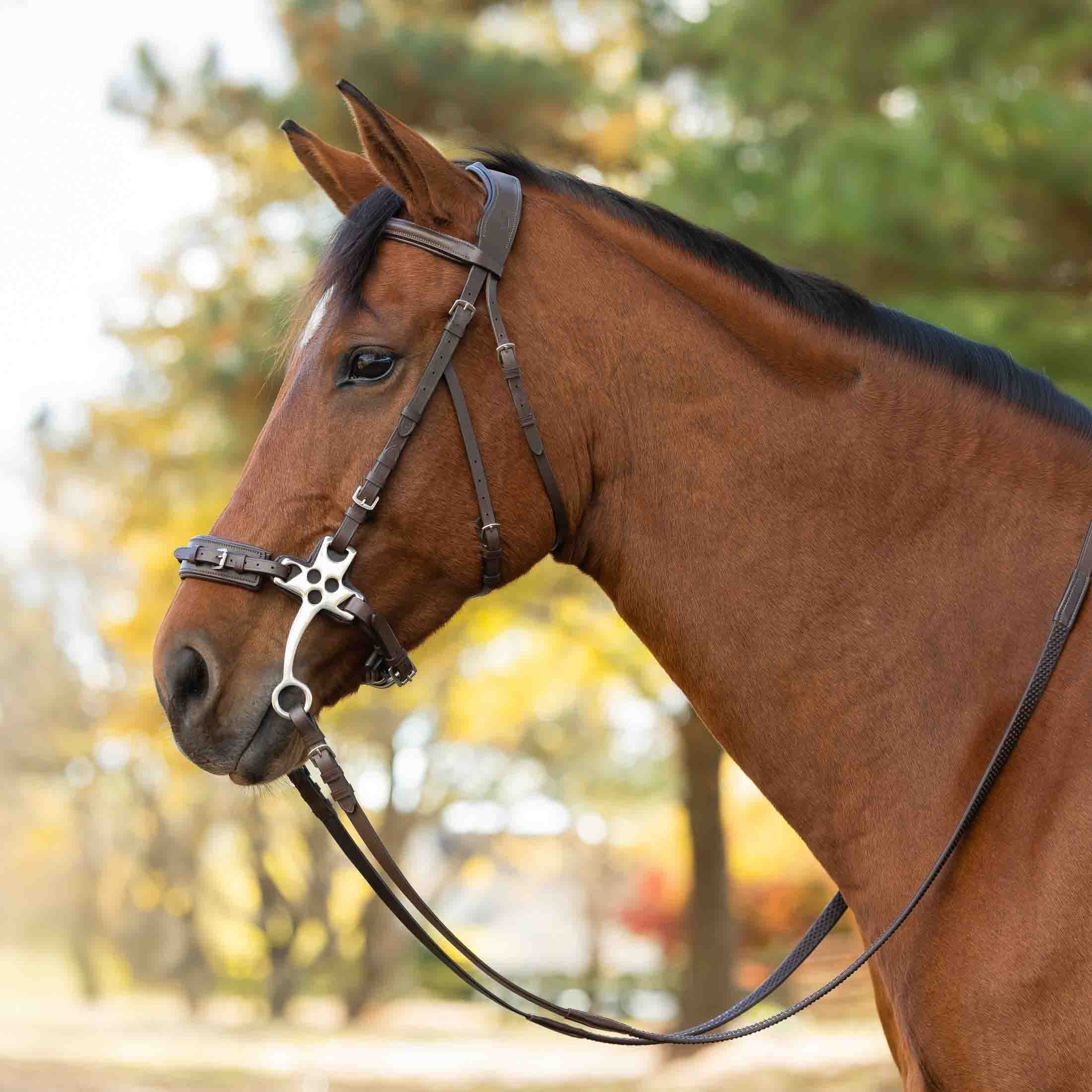 Equinavia Saga Hackamore Bridle with Rubber Reins image #1