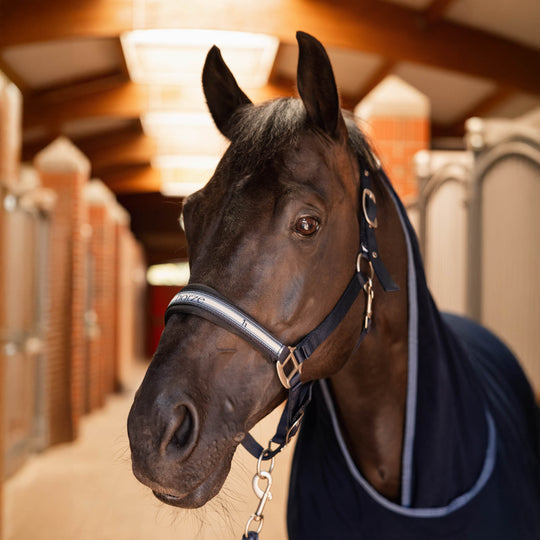 Horze Eternal Gaze Halter and Lead Set image 