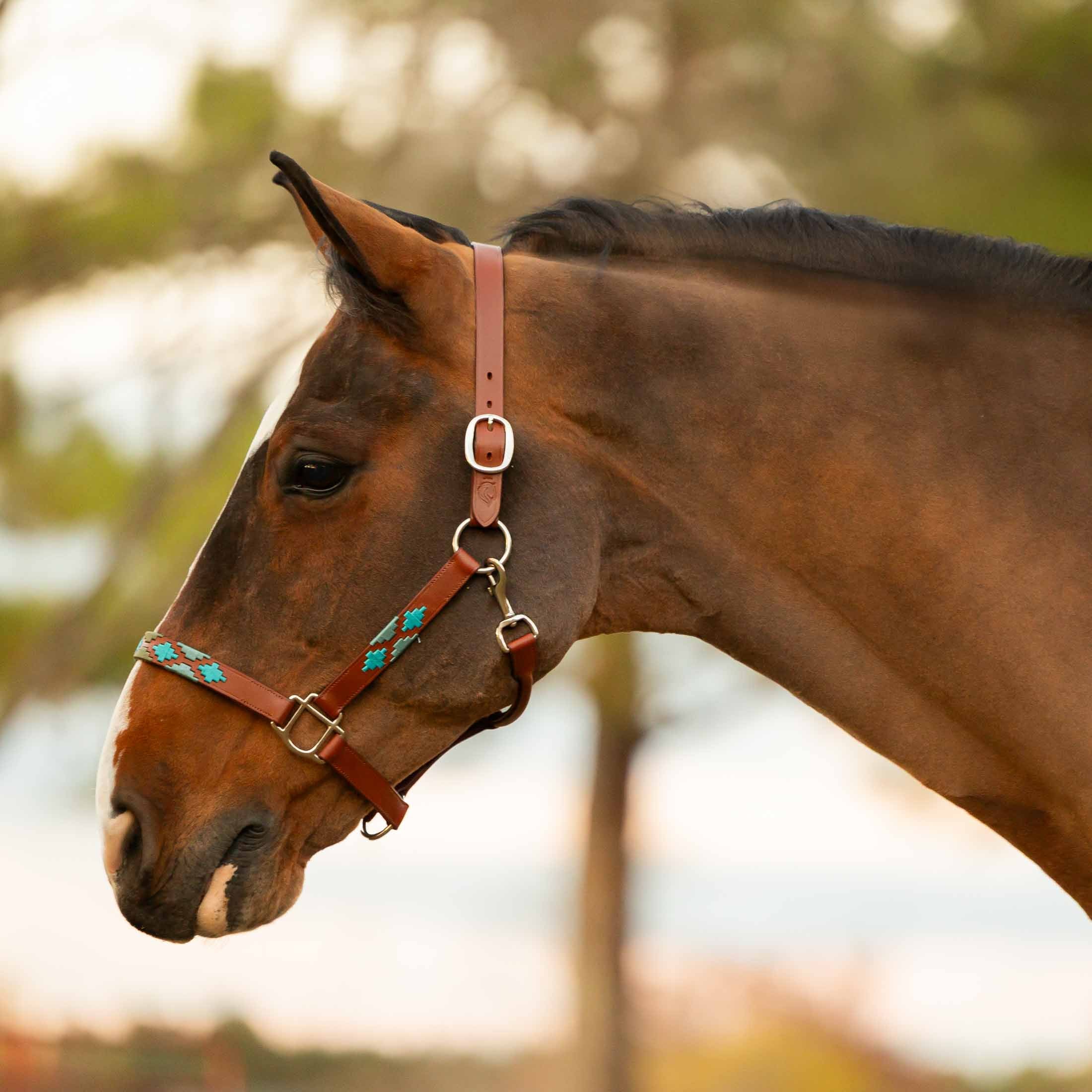 Equinavia Siri Polo Leather Halter image #1