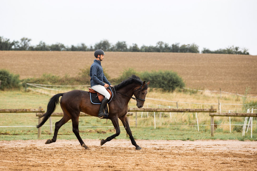 Horze Grand Prix Mens Silicone Grip Full Seat Breeches image 