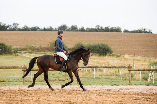 Horze Grand Prix Mens Silicone Grip Full Seat Breeches image 