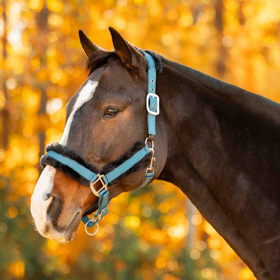 Equinavia Valkyrie Ultra Fleece Breakaway Halter image 
