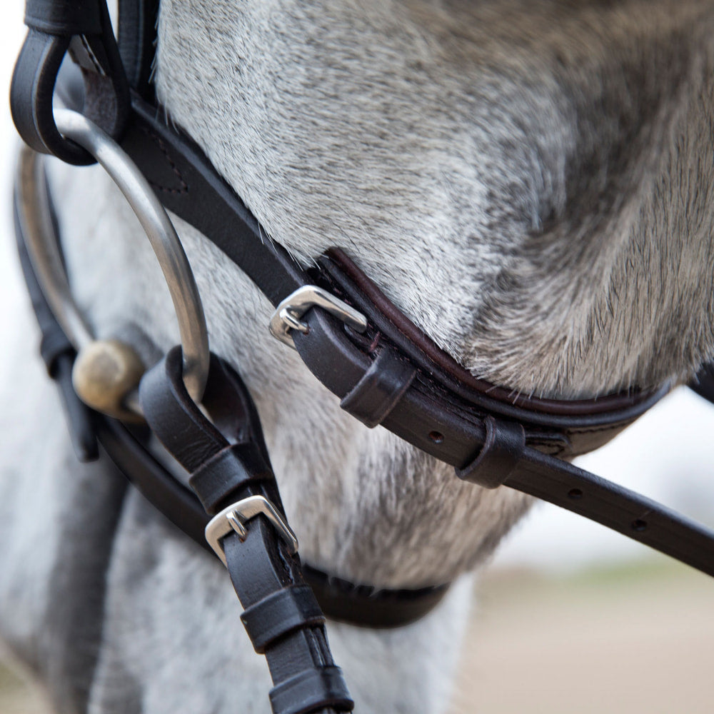 Horze Weston Flash Bridle w/ Reins image 