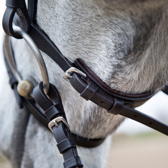 Horze Weston Flash Bridle w/ Reins image 