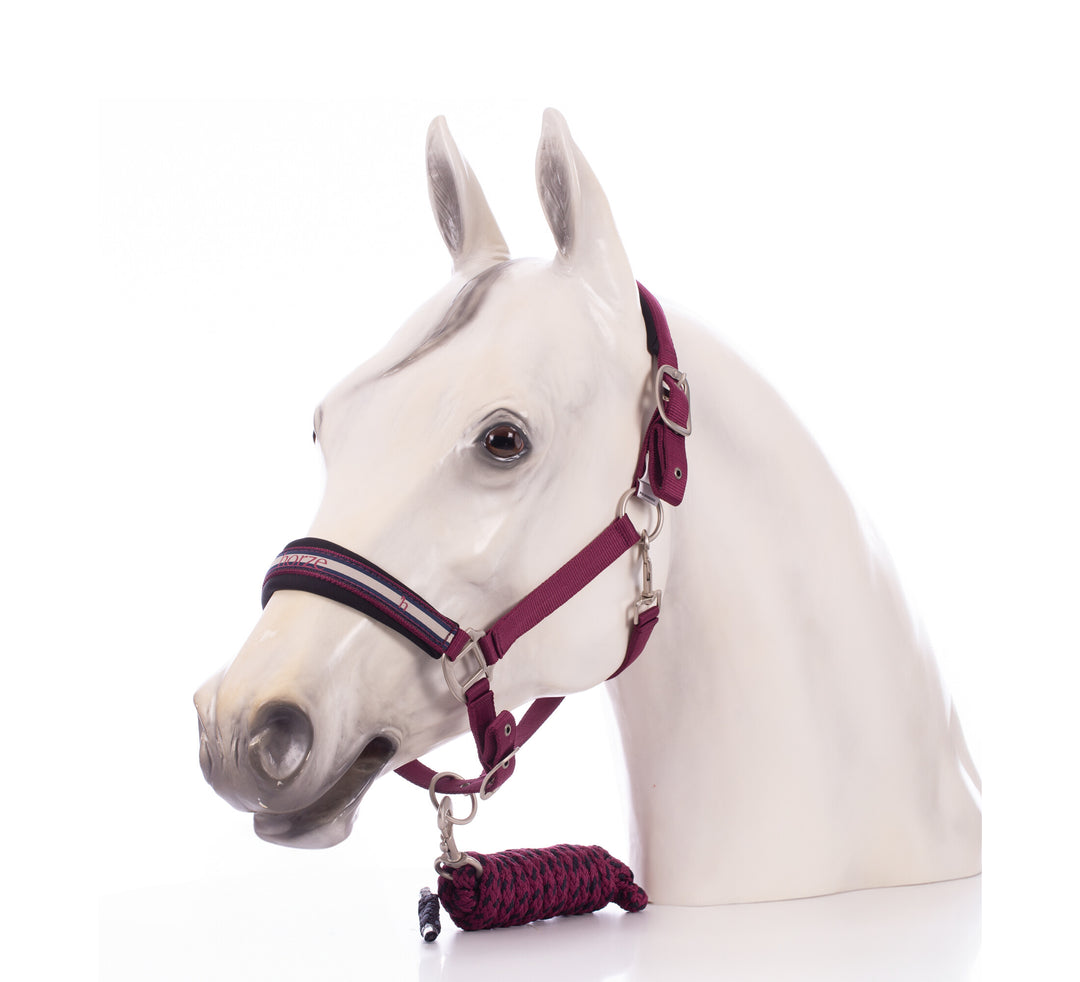 Horze Eternal Gaze Halter and Lead Set image #1